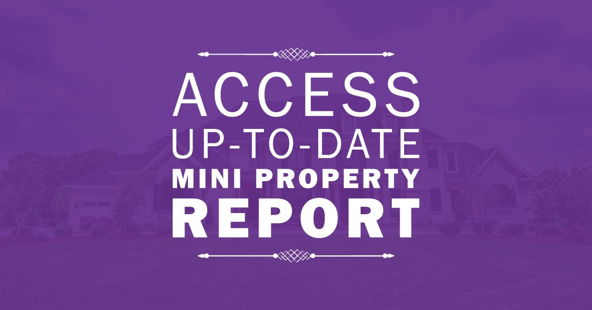 Mini Property Report